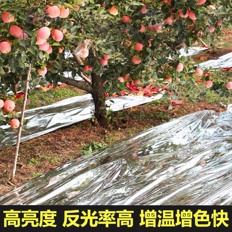 新余市货车苫盖膜果树反光膜 - 哪里好